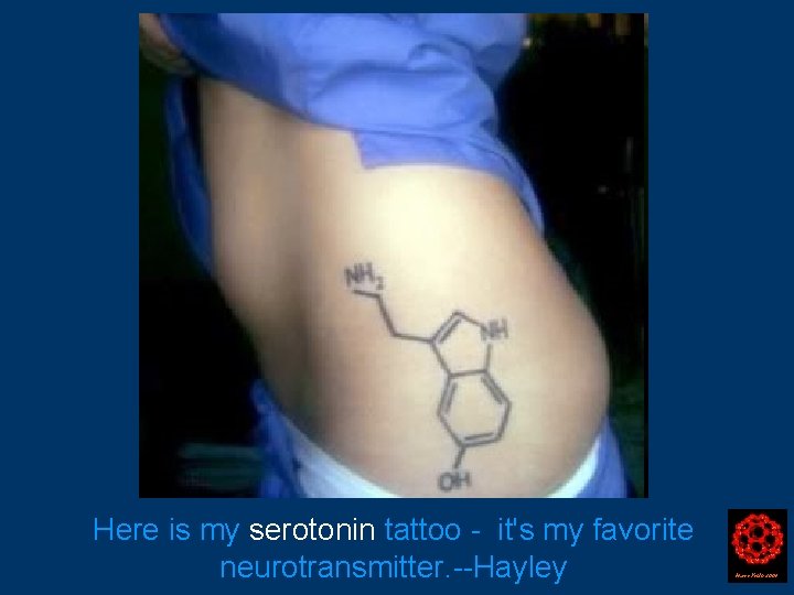 Here is my serotonin tattoo - it's my favorite neurotransmitter. --Hayley Harry Kroto 2004