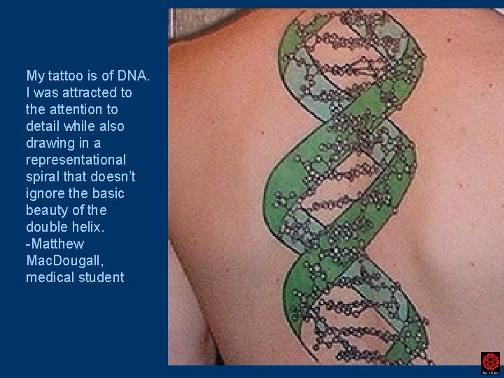 My tattoo is of DNA. I was attracted to the attention to detail while