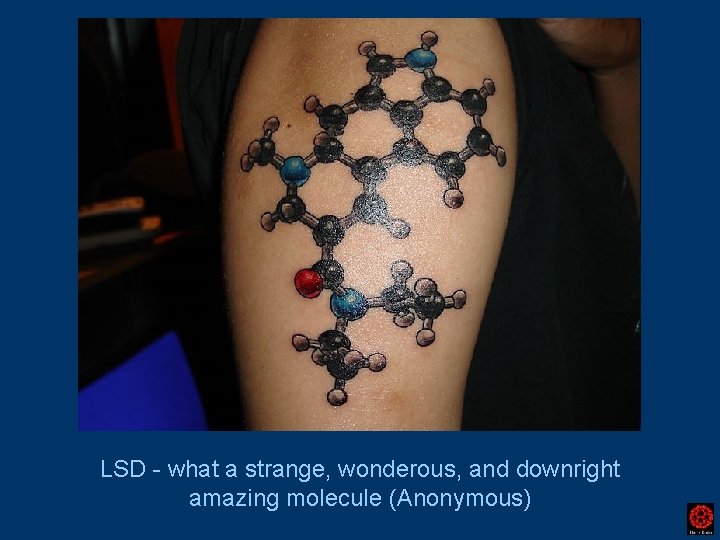 LSD - what a strange, wonderous, and downright amazing molecule (Anonymous) 