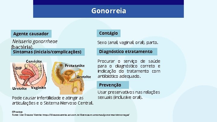 Gonorreia Contágio Agente causador Neisseria gonorrheae (bactéria). Sexo (anal, vaginal, oral), parto. Sintomas (iniciais/complicações) Gonorreia Contágio Agente causador Neisseria gonorrheae (bactéria). Sexo (anal, vaginal, oral), parto. Sintomas (iniciais/complicações)