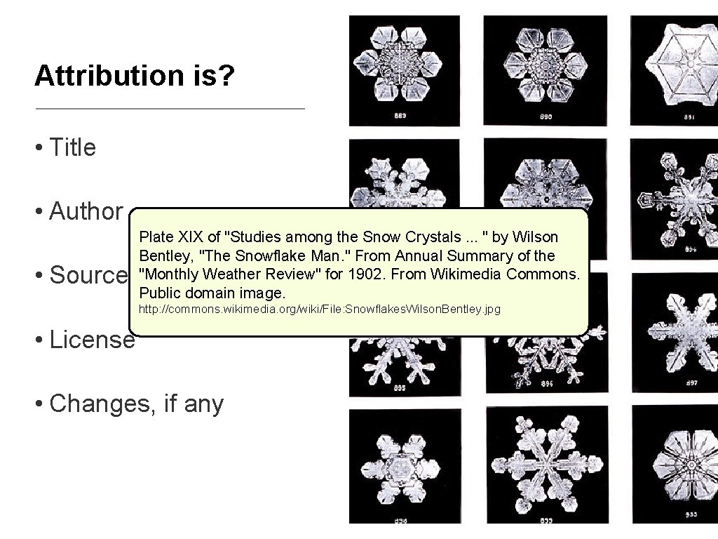 Attribution is? • Title • Author • Source Plate XIX of "Studies among the