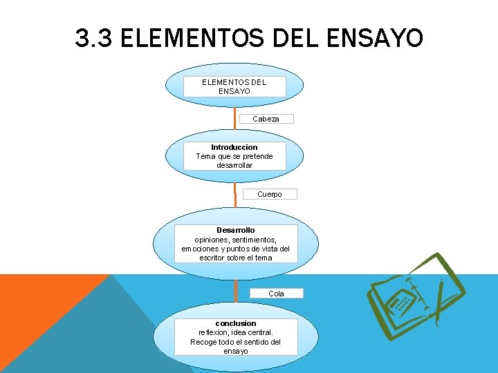 3. 3 ELEMENTOS DEL ENSAYO Cabeza Introduccion Tema que se pretende desarrollar Cuerpo Desarrollo