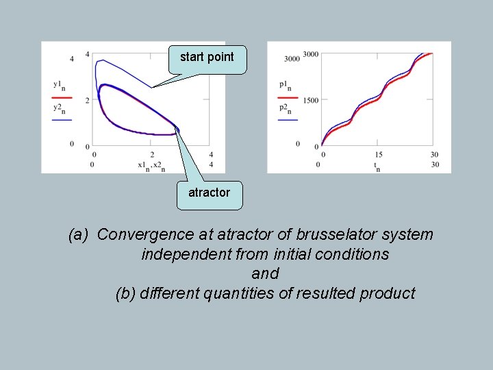 start point atractor (a) Convergence at atractor of brusselator system independent from initial conditions