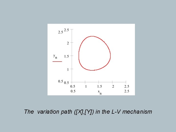 The variation path ([X], [Y]) in the L-V mechanism 