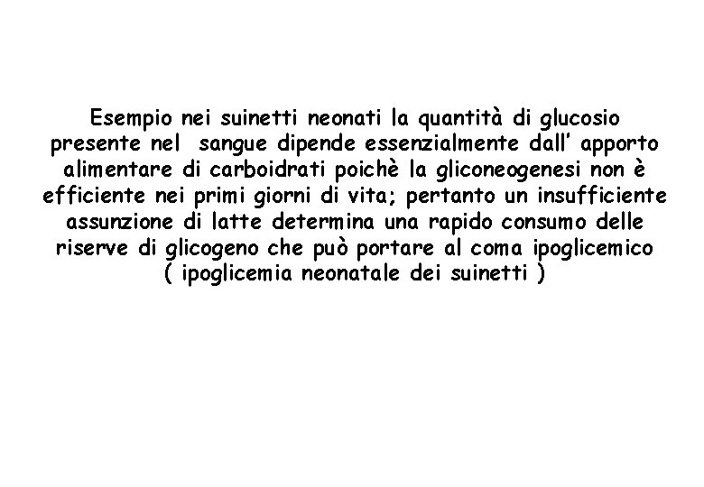 Esempio nei suinetti neonati la quantità di glucosio presente nel sangue dipende essenzialmente dall’