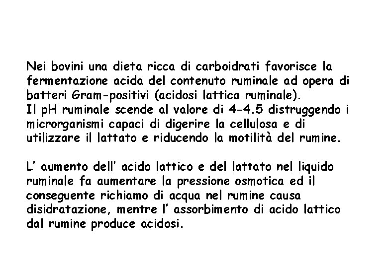 Nei bovini una dieta ricca di carboidrati favorisce la fermentazione acida del contenuto ruminale