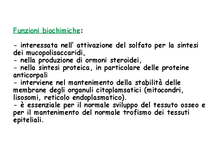 Funzioni biochimiche: - interessata nell’ attivazione del solfato per la sintesi dei mucopolisaccaridi, -