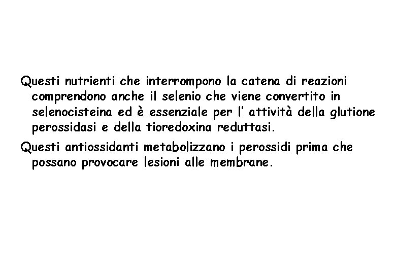 Questi nutrienti che interrompono la catena di reazioni comprendono anche il selenio che viene