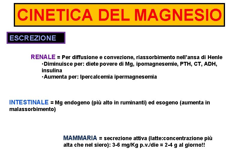 CINETICA DEL MAGNESIO ESCREZIONE RENALE = Per diffusione e convezione, riassorbimento nell’ansa di Henle
