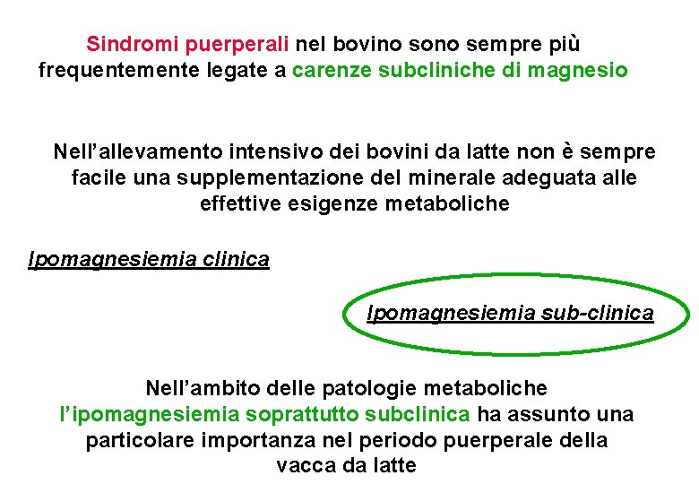 Sindromi puerperali nel bovino sono sempre più frequentemente legate a carenze subcliniche di magnesio