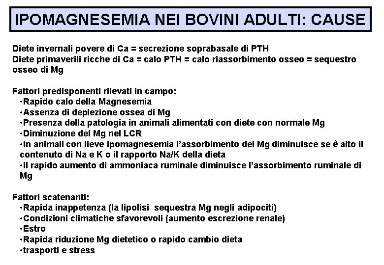 IPOMAGNESEMIA NEI BOVINI ADULTI: CAUSE Diete invernali povere di Ca = secrezione soprabasale di