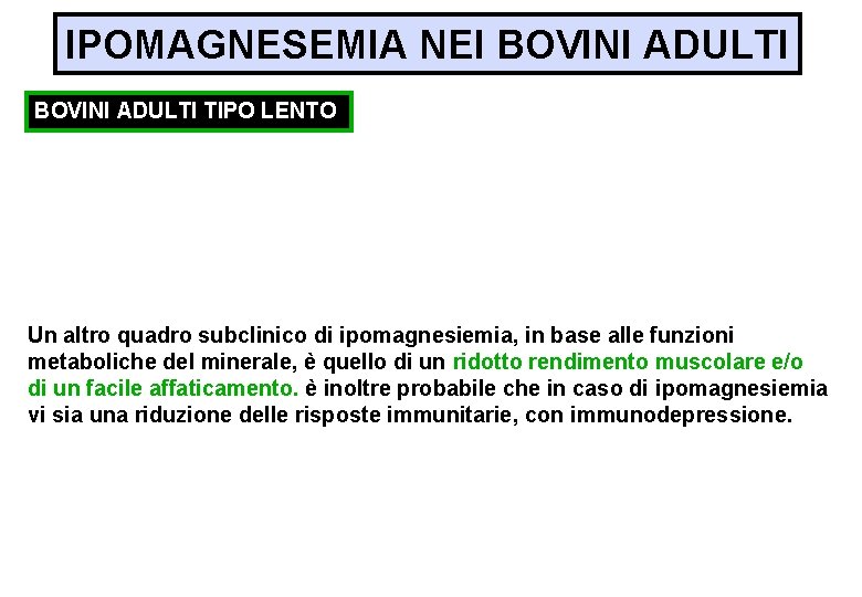 IPOMAGNESEMIA NEI BOVINI ADULTI TIPO LENTO Un altro quadro subclinico di ipomagnesiemia, in base