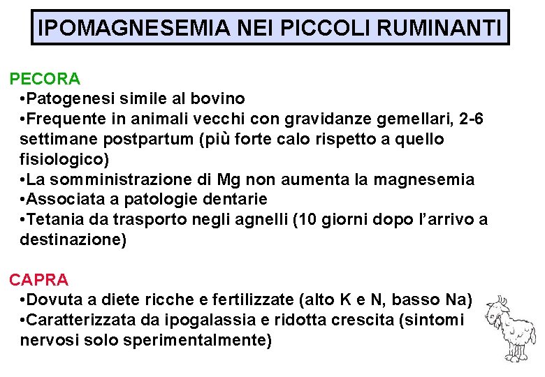 IPOMAGNESEMIA NEI PICCOLI RUMINANTI PECORA • Patogenesi simile al bovino • Frequente in animali