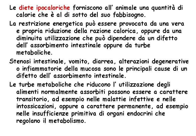 Le diete ipocaloriche forniscono all’ animale una quantità di calorie che è al di