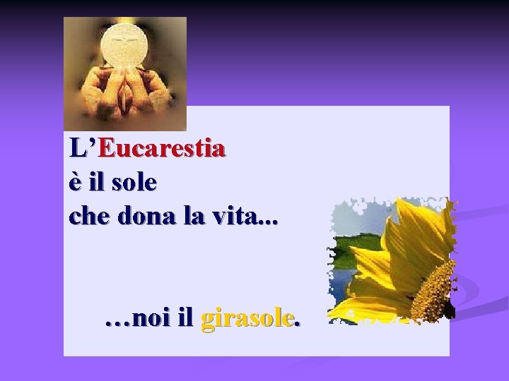 L’Eucarestia è il sole che dona la vita. . . …noi il girasole. 