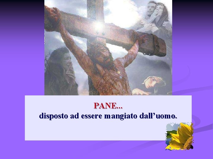 PANE. . . disposto ad essere mangiato dall’uomo. 