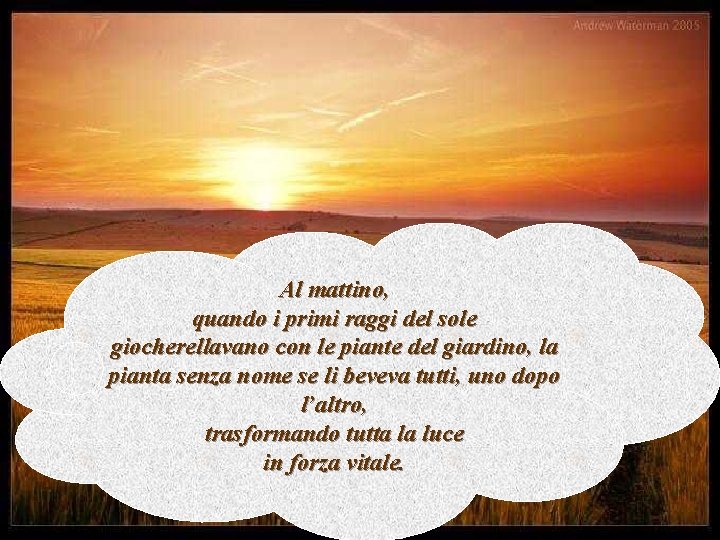 Al mattino, quando i primi raggi del sole giocherellavano con le piante del giardino,