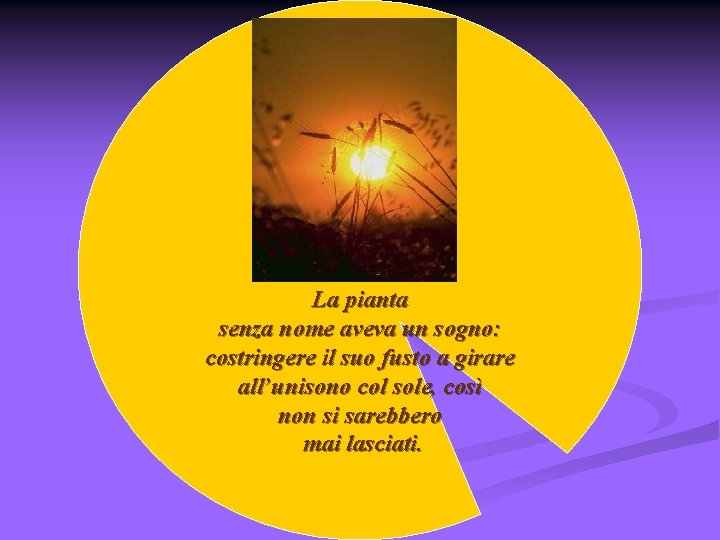 La pianta senza nome aveva un sogno: costringere il suo fusto a girare all’unisono