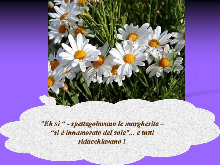 ”Eh si “ - spettegolavano le margherite – “si è innamorato del sole”. .