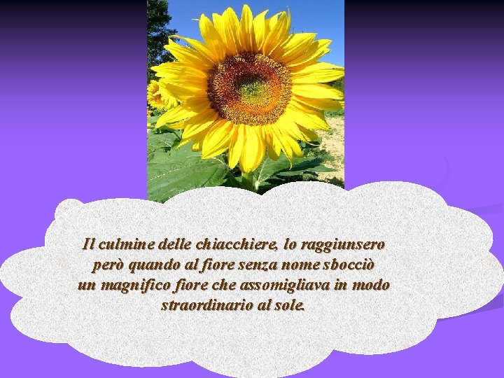 Il culmine delle chiacchiere, lo raggiunsero però quando al fiore senza nome sbocciò un