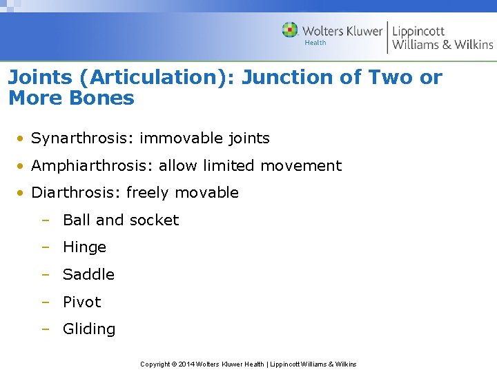 Joints (Articulation): Junction of Two or More Bones • Synarthrosis: immovable joints • Amphiarthrosis: