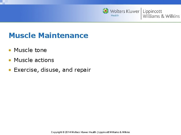 Muscle Maintenance • Muscle tone • Muscle actions • Exercise, disuse, and repair Copyright