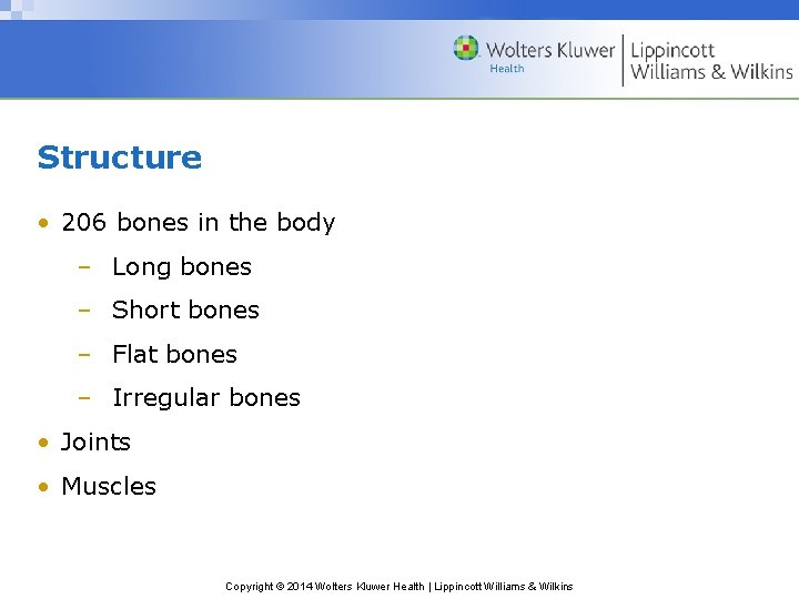 Structure • 206 bones in the body – Long bones – Short bones –