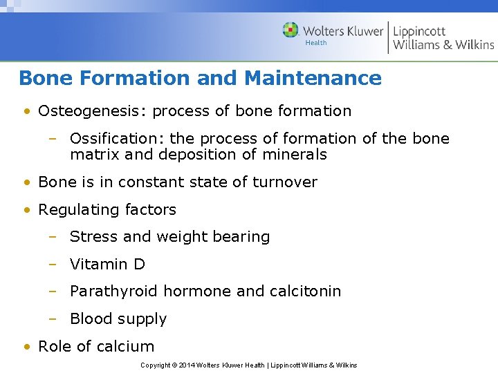 Bone Formation and Maintenance • Osteogenesis: process of bone formation – Ossification: the process