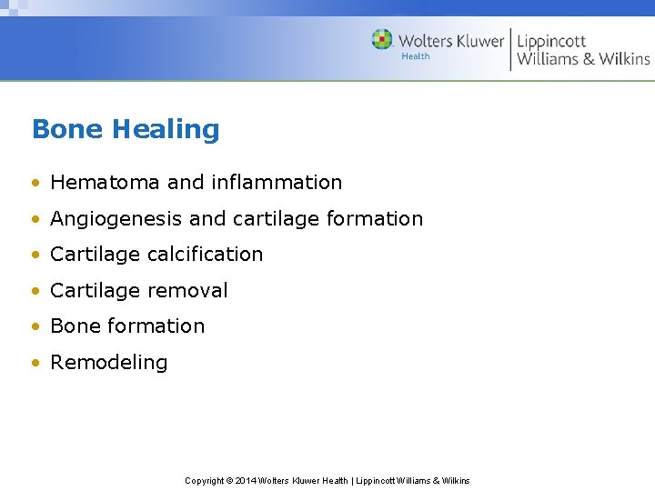 Bone Healing • Hematoma and inflammation • Angiogenesis and cartilage formation • Cartilage calcification