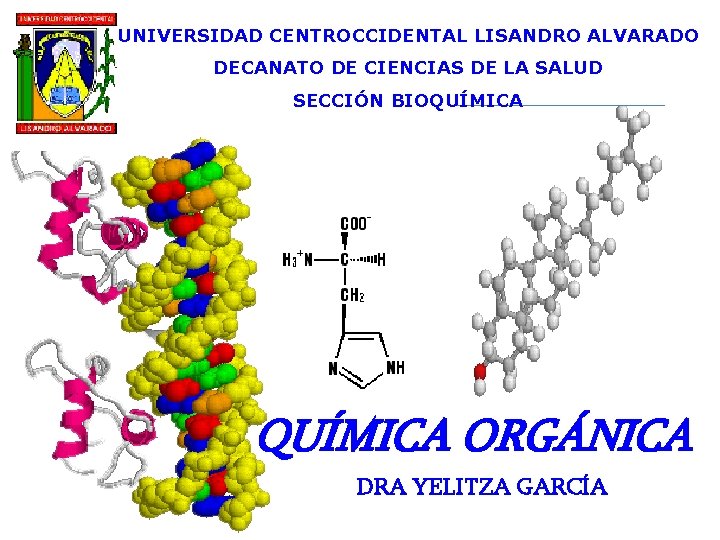 UNIVERSIDAD CENTROCCIDENTAL LISANDRO ALVARADO DECANATO DE CIENCIAS DE LA SALUD SECCIÓN BIOQUÍMICA ORGÁNICA DRA