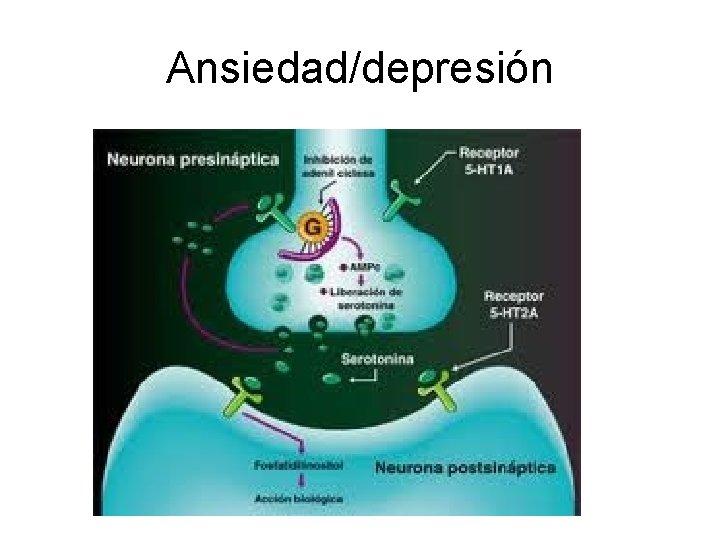 Ansiedad/depresión 