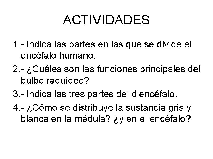 ACTIVIDADES 1. - Indica las partes en las que se divide el encéfalo humano.