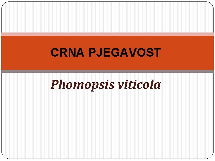 CRNA PJEGAVOST Phomopsis viticola 