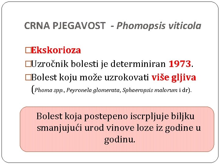 CRNA PJEGAVOST - Phomopsis viticola �Ekskorioza �Uzročnik bolesti je determiniran 1973 �Bolest koju može