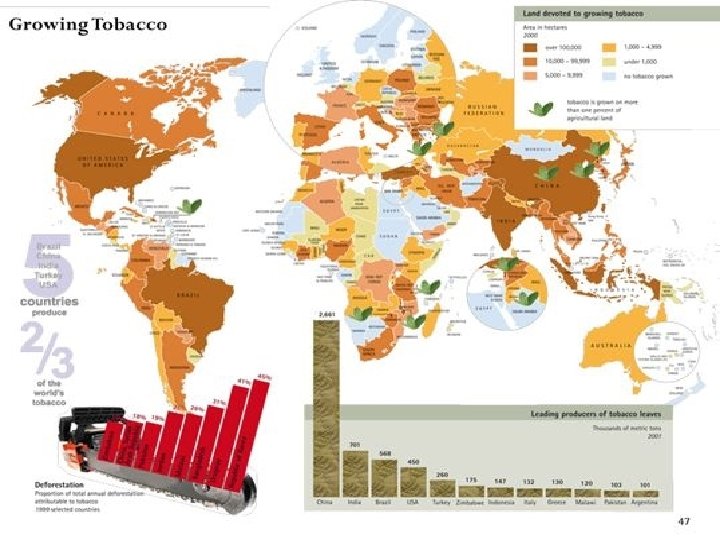 TABACCO Il tabacco è un prodotto agricolo, ottenuto dalle foglie delle piante del genere