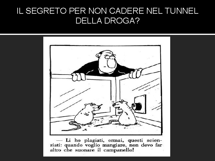 IL SEGRETO PER NON CADERE NEL TUNNEL DELLA DROGA? TROVARE ATTIVITA’ APPAGANTI CHE RENDONO