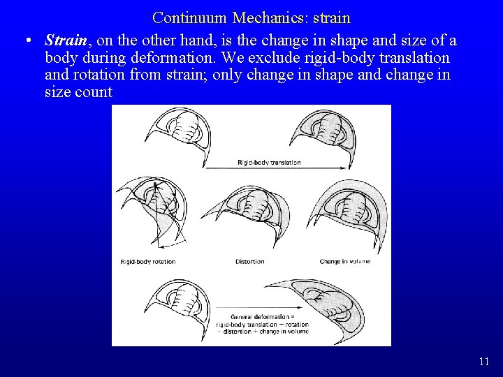 Continuum Mechanics: strain • Strain, on the other hand, is the change in shape