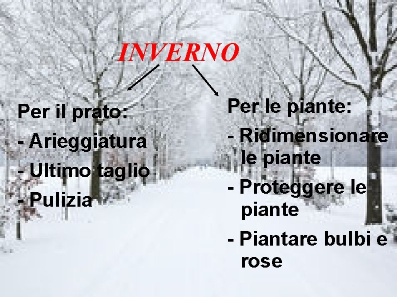 INVERNO Per il prato: - Arieggiatura - Ultimo taglio - Pulizia Per le piante: