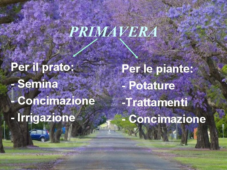 PRIMAVERA Per il prato: - Semina - Concimazione - Irrigazione Per le piante: -