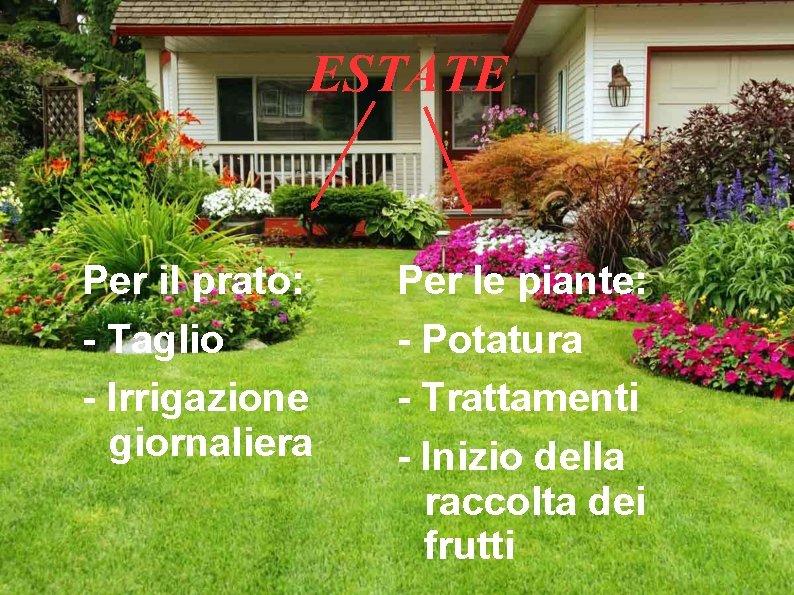 ESTATE Per il prato: - Taglio - Irrigazione giornaliera Per le piante: - Potatura