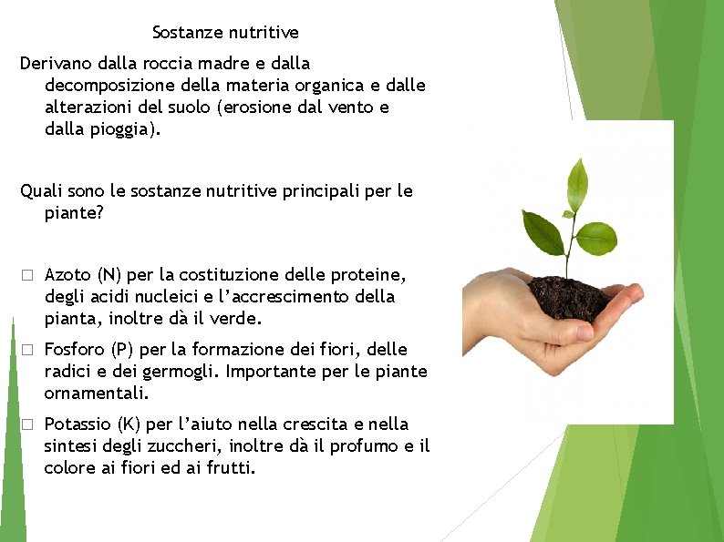 Sostanze nutritive Derivano dalla roccia madre e dalla decomposizione della materia organica e dalle