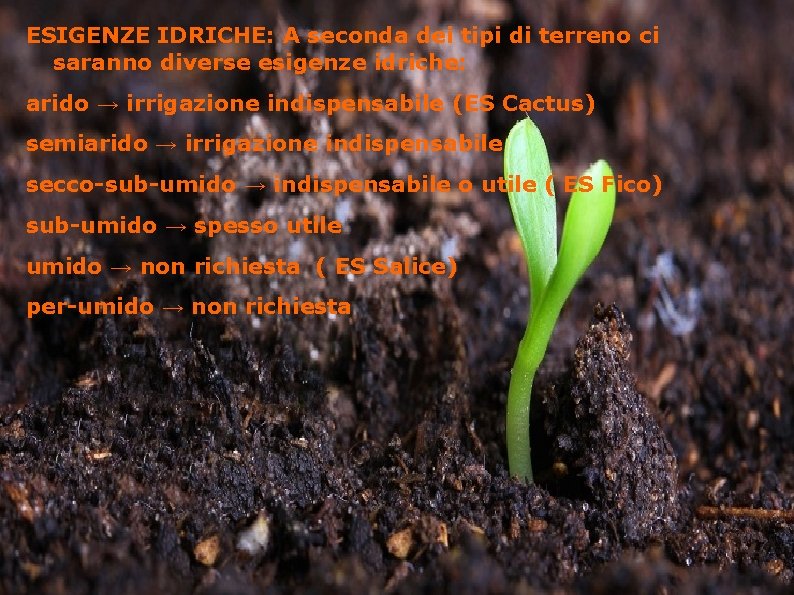 ESIGENZE IDRICHE: A seconda dei tipi di terreno ci saranno diverse esigenze idriche: arido