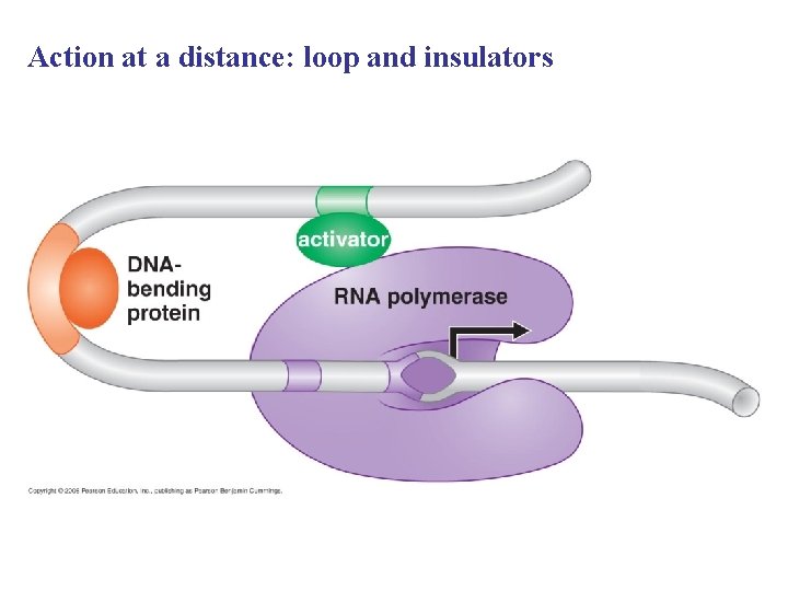 Action at a distance: loop and insulators 