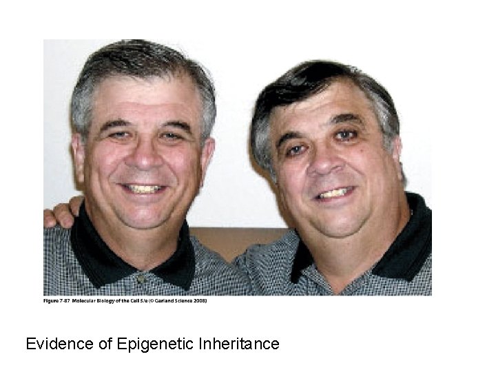 Evidence of Epigenetic Inheritance 