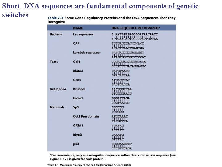 Short DNA sequences are fundamental components of genetic switches 