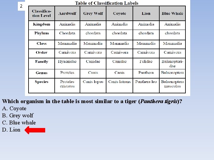 2 Which organism in the table is most similar to a tiger (Panthera tigris)?