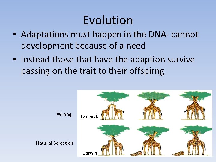 Evolution • Adaptations must happen in the DNA- cannot development because of a need