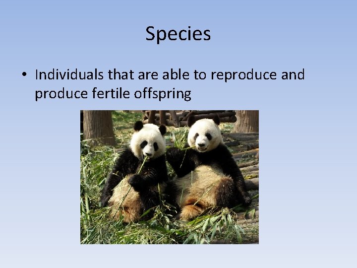 Species • Individuals that are able to reproduce and produce fertile offspring 