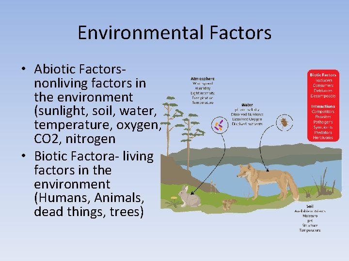 Environmental Factors • Abiotic Factors- nonliving factors in the environment (sunlight, soil, water, temperature,