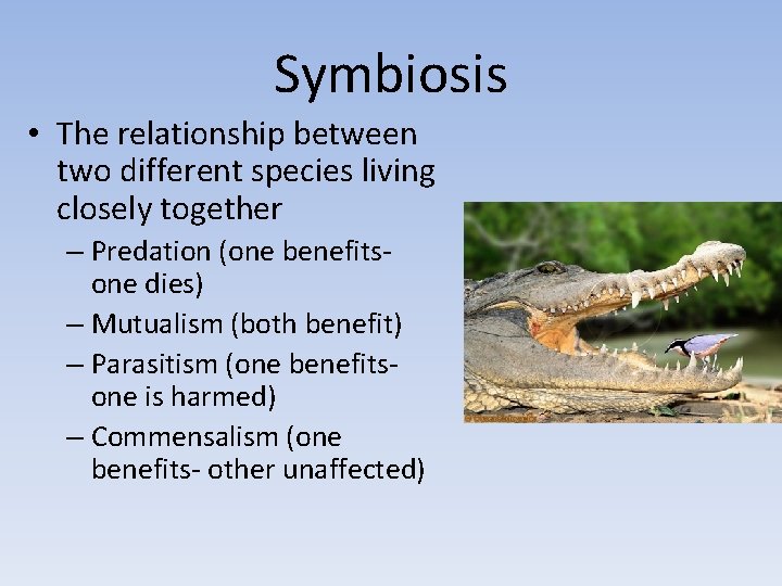 Symbiosis • The relationship between two different species living closely together – Predation (one